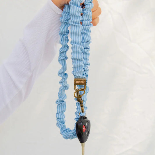 Blue Striped Lanyard