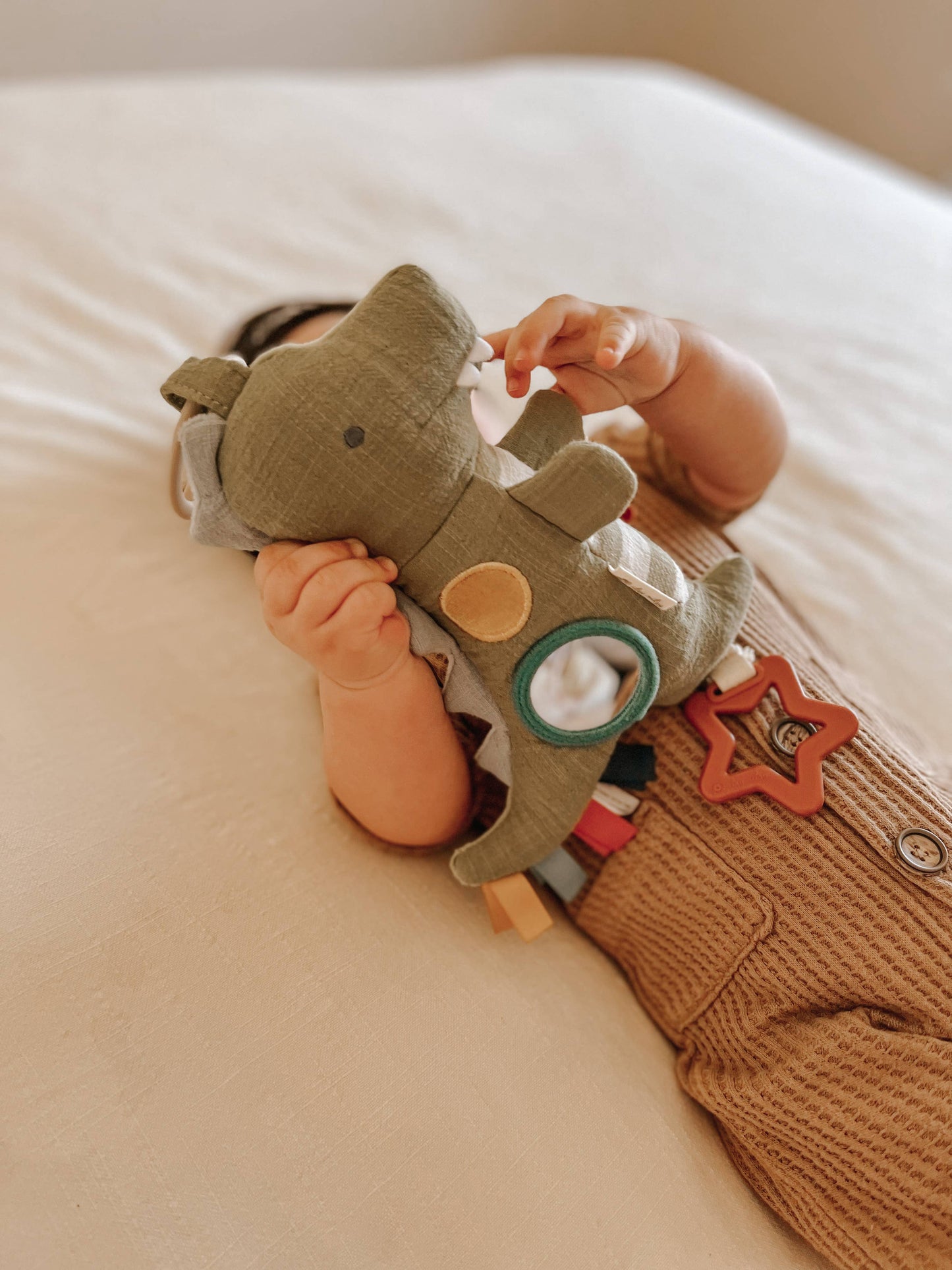 Dinosaur Sensory Travel Toy