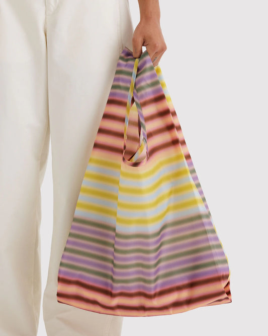 Standard Baggu (Gradient Stripe Multi)