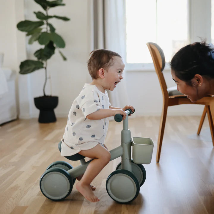 Mini Toddler Bike - Multiple Colors