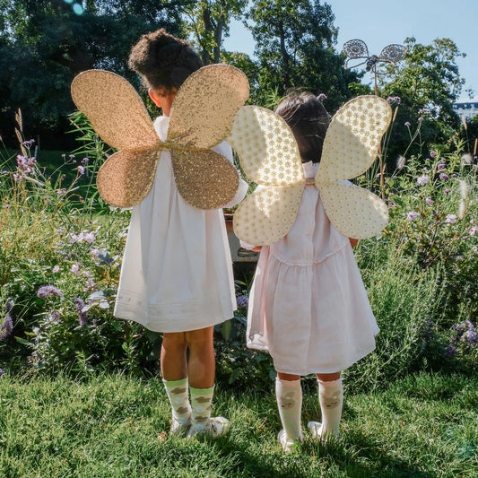 Daisy Daisy Crochet Fairy Wings (3-10 Years)