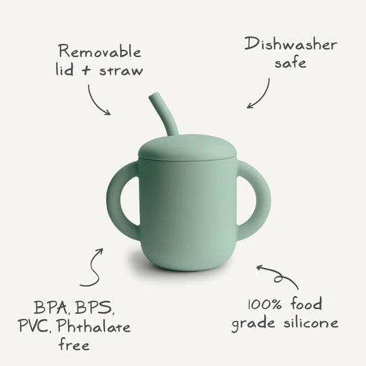 Silicone Training Cup + Straw (Dinos)