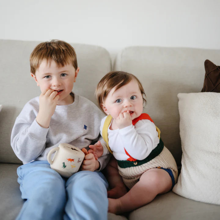 Snack Cup (Dinosaurs)