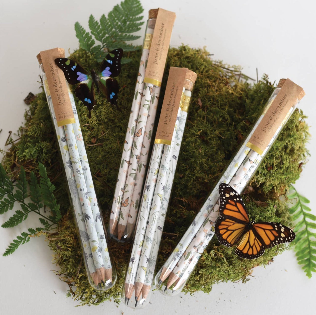 Butterfly Pencil Terrarium, Set of 5 Pencils